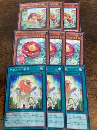 Natur Mole Cricket Rare JP020 and other sets