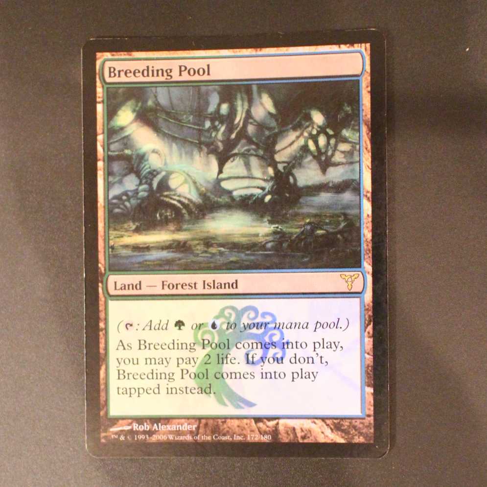 DIS【繁殖池】英語 Foil