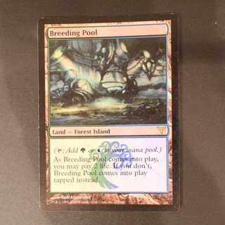 DIS【繁殖池】英語 Foil