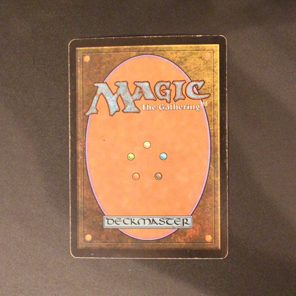 DIS【繁殖池】英語 Foil