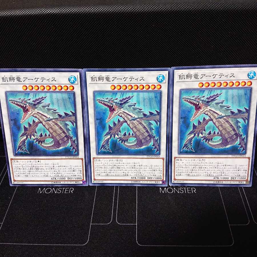 飢鰐竜アーケティス