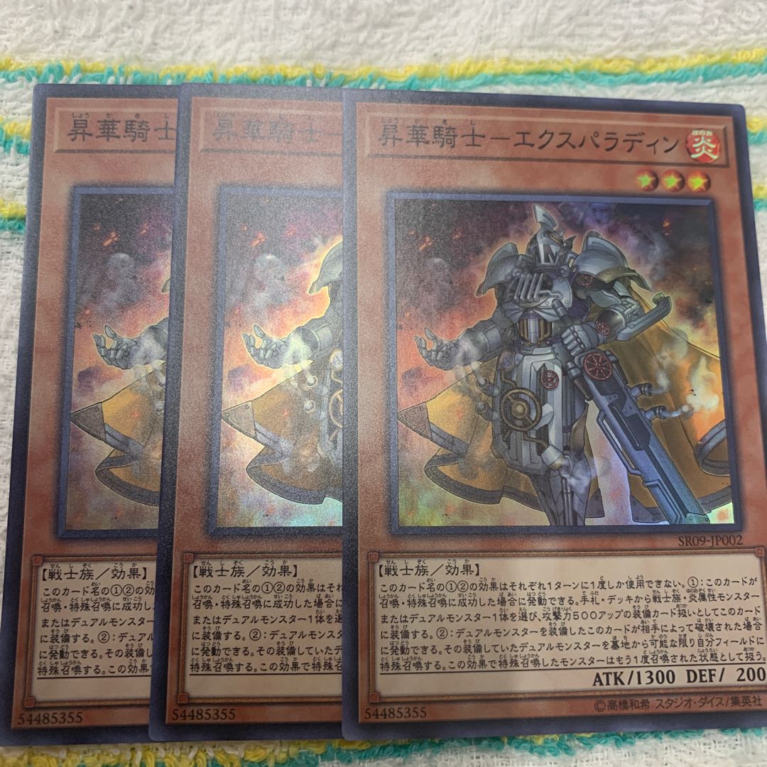 昇華騎士-エクスパラディン