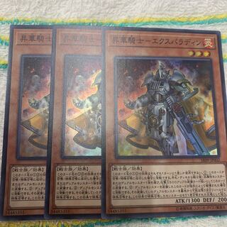 昇華騎士-エクスパラディン