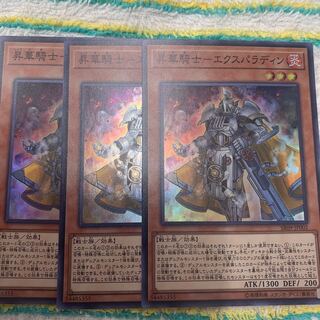 昇華騎士-エクスパラディン