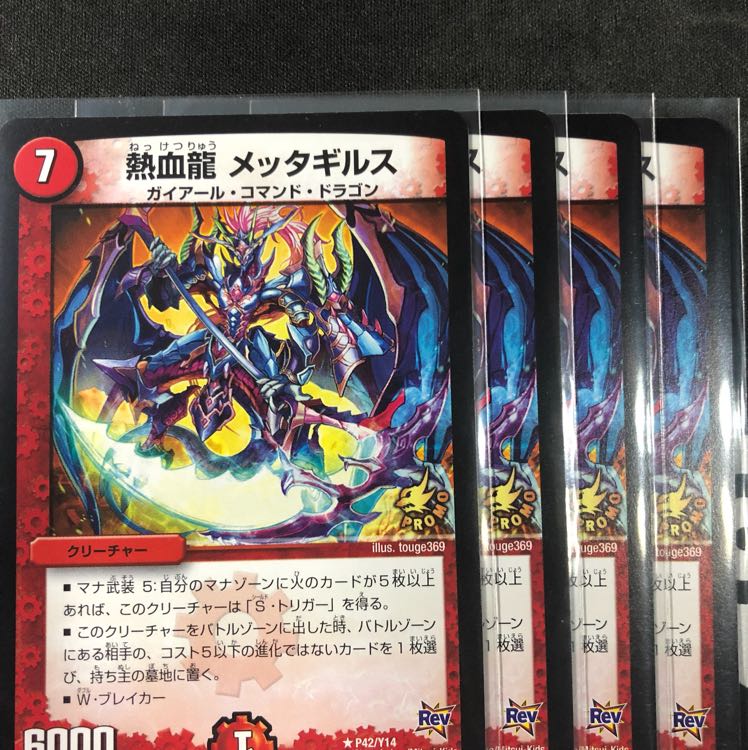 熱血龍メッタギルス