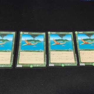 Birds of Paradise R 29/75