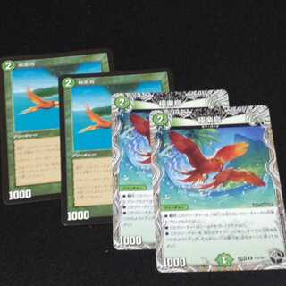 Birds of Paradise R 29/75