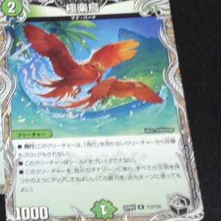 Birds of Paradise R 29/75