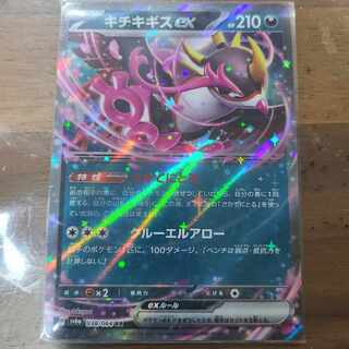 キチキギスex RR 038/064