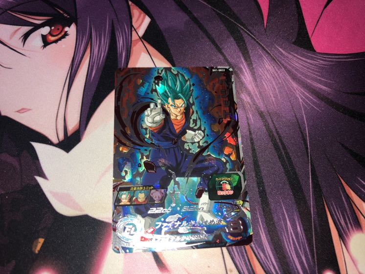 sh1-sec2 ベジット