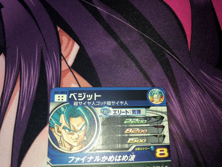 sh1-sec2 ベジット