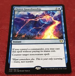 mtg 激情の後見 英語1枚