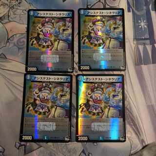 アシステスト・シネラリア　4枚