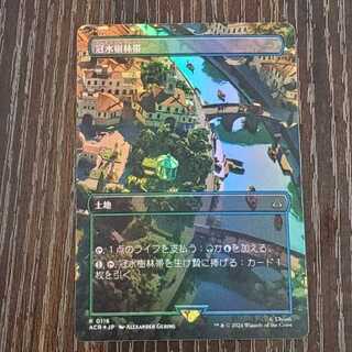 Waterlogged Grove Foil Rare 0116