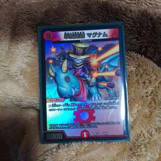 Single shot magnum 9/18