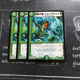 成長の面 ナム=アウェイキ