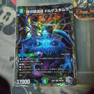 Discounted set Doruge Yukimura (Silver Treasure) SR TR5/TR9