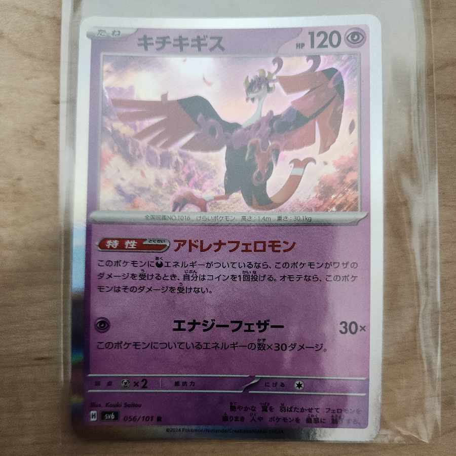 キチキギス R 056/101