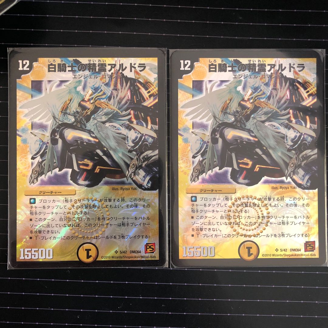 白騎士の精霊アルドラ