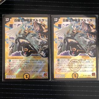 白騎士の精霊アルドラ