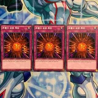 【N】【韓国版】生贄の抱く爆弾 3枚 DP17-KR036