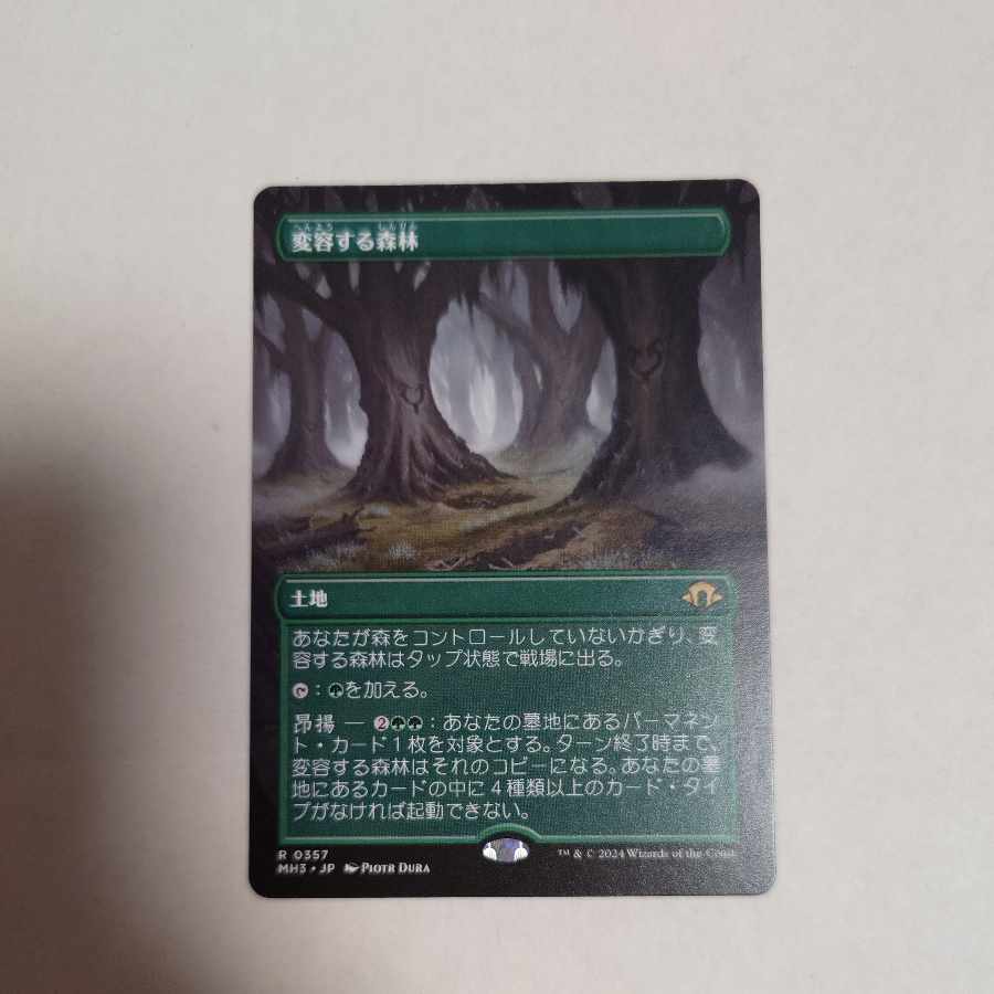 Transforming Forest Forest Borderless