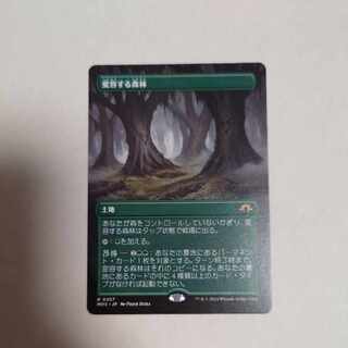 変容する森林　ボーダレス