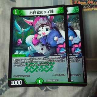 Set Discount for Awakening Rosa VR 187/? Set of 2