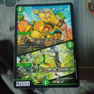 Set Discount Colen Coco Tanks｜Bont Plantivo