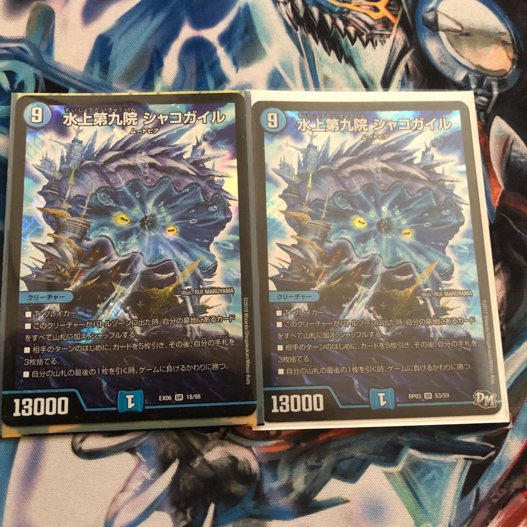 水上第九院 シャコガイル