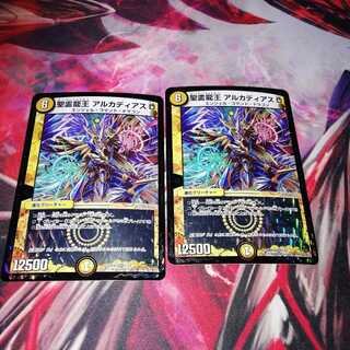 聖霊龍王 アルカディアスD