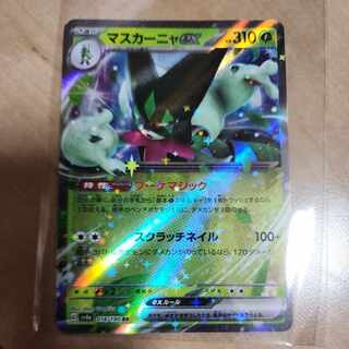 マスカーニャex RR 014/190