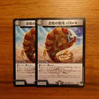 忍蛇の聖沌 c0br4 R 17/74