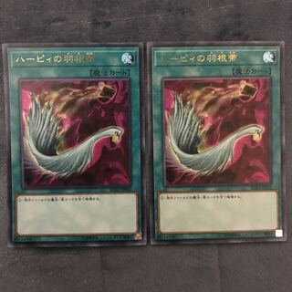 ハーピィの羽根帚　UR