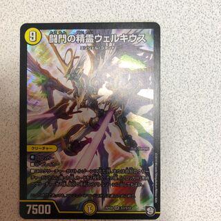 闘門の精霊ウェルキウス