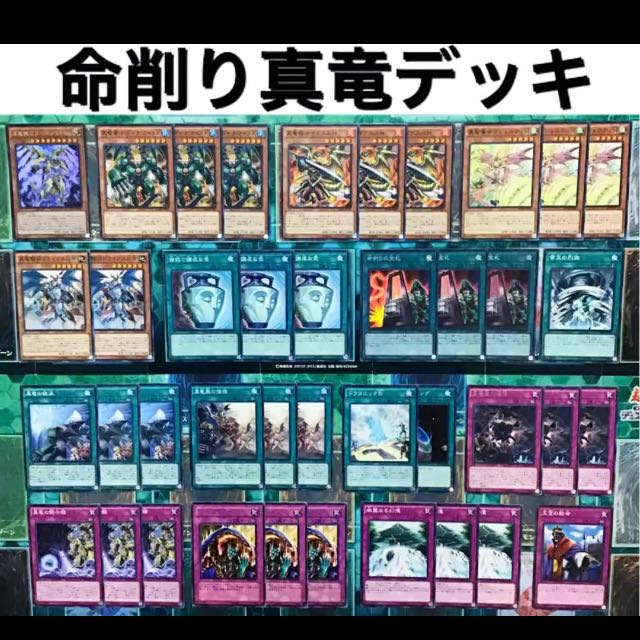 遊戯王 命削り真竜 デッキ 本格構築