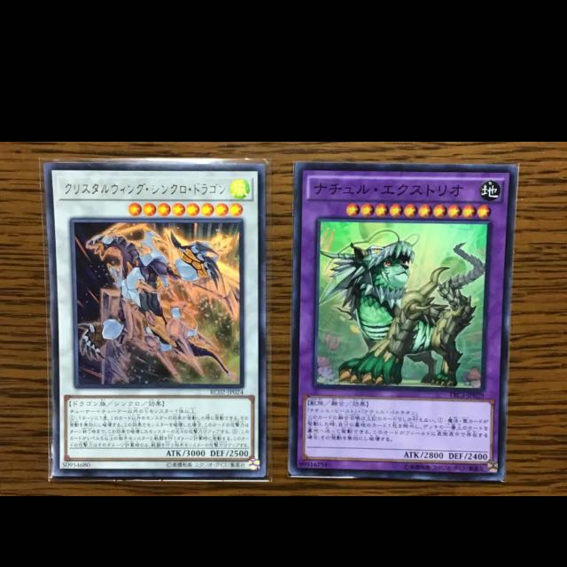 遊戯王 命削り真竜 デッキ 本格構築