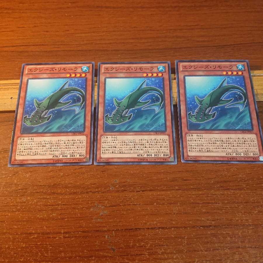 エクシーズ・リモーラ N 3枚セット