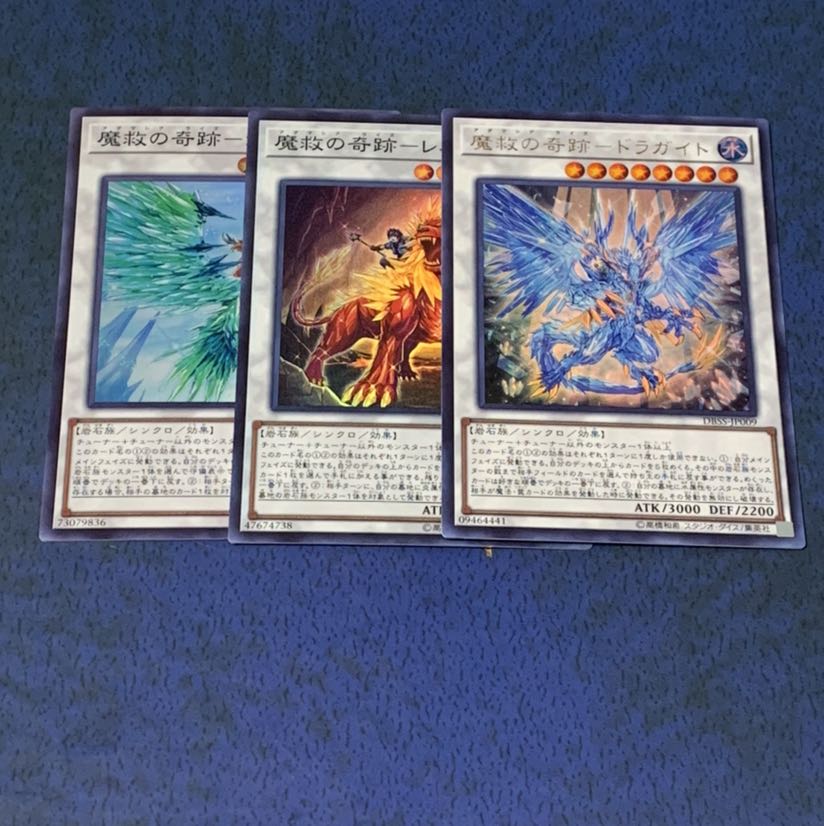 魔救の奇跡ドラガイト