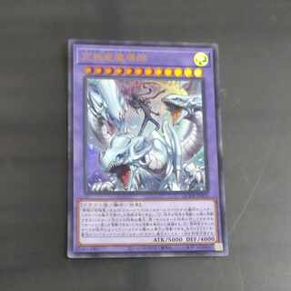 究極竜魔導師 ウルトラレア QCDB-JP001　【木林堂】