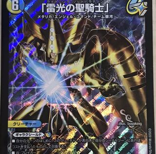 「雷光の聖騎士」