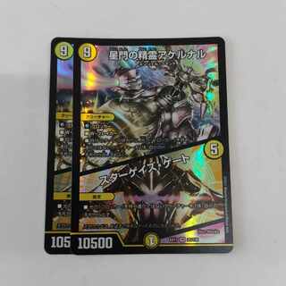 Akernal, the Spirit of the Star Gate｜Stargaze Gate VR 25/138