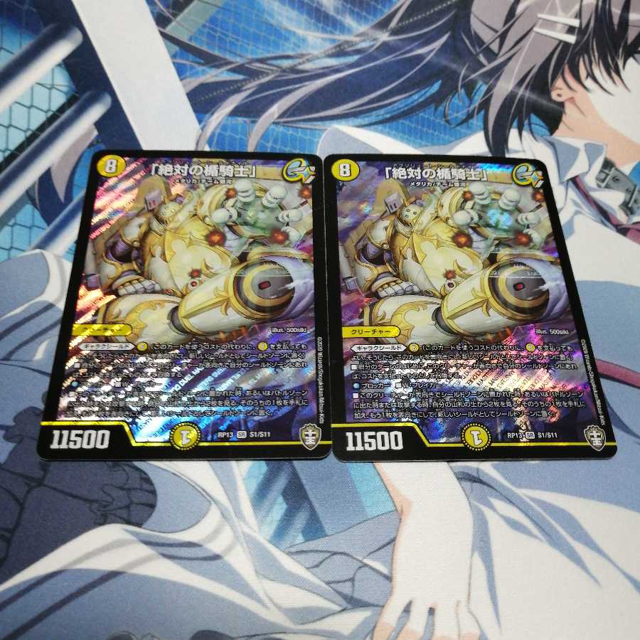 「絶対の楯騎士」