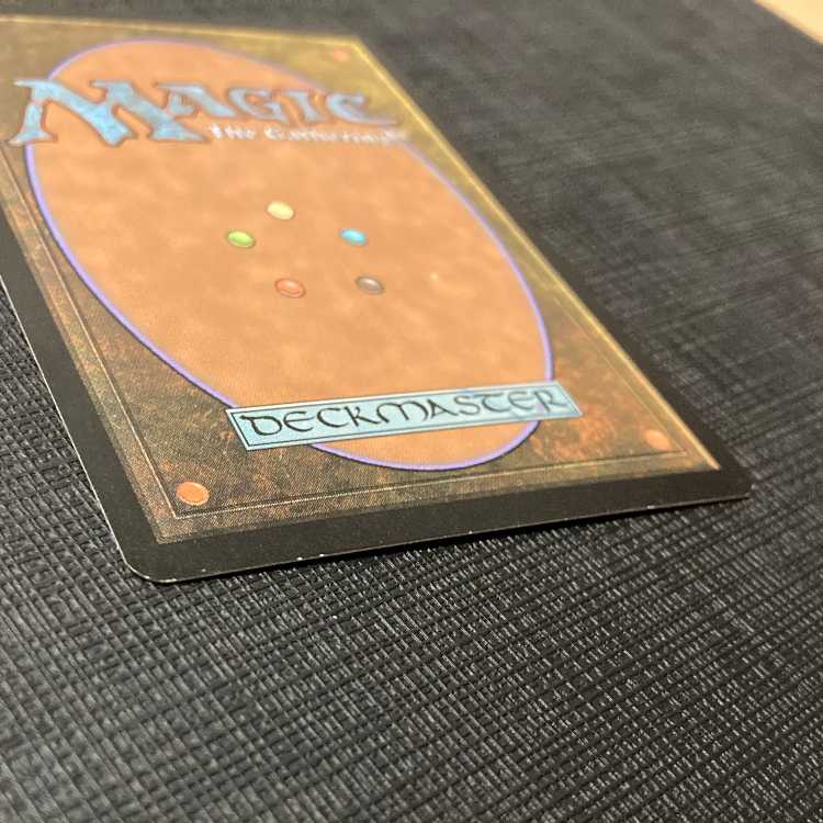 7ED【極楽鳥】英語 旧枠Foil 1枚