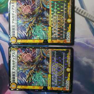 聖霊龍王 アルカディアスD 2枚