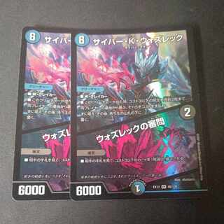 サイバー・K・ウォズレック｜ウォズレックの審問 VR 46/138