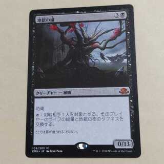Items for MTG Pioneer | magi