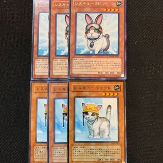 レスキューキャット　レスキューラビット