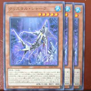 Squirrel Tull Shark Normal