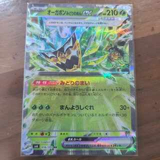 Ogapon Midori-no-men ex RR 016/101